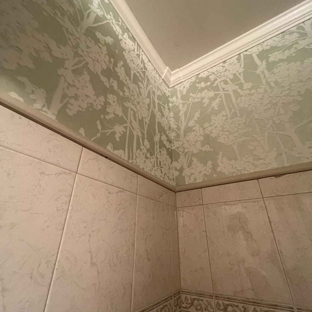 NEW Anthropologie Candice Olson York wallpaper green botanical textured CN2160